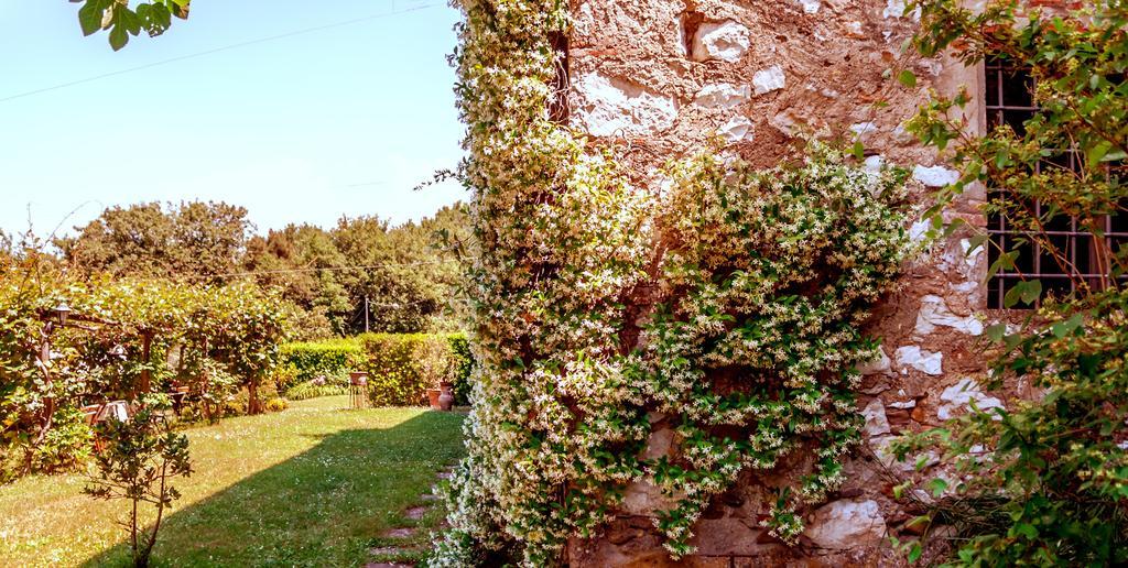 Corte Della Rusticuccia Daire Lucca Dış mekan fotoğraf